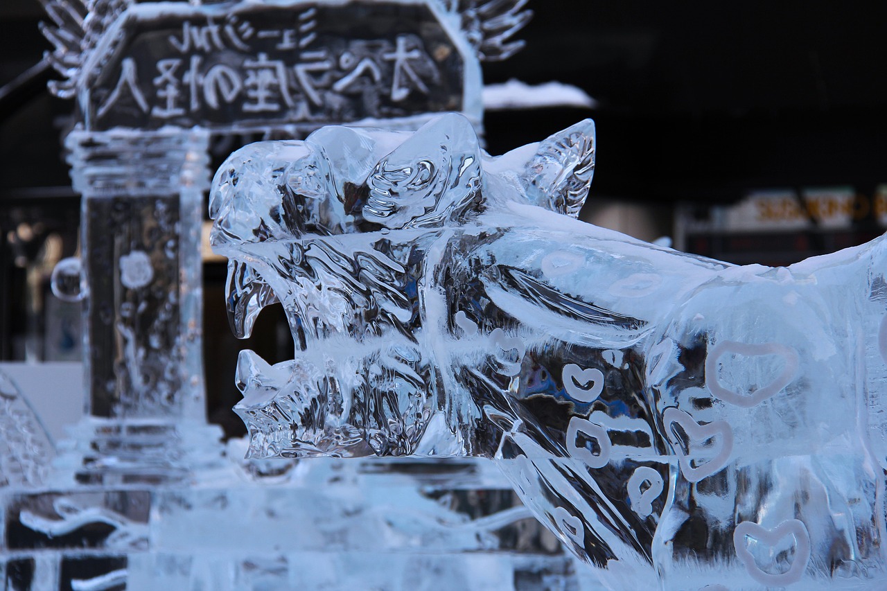 东北雪韵·哈尔滨透笼街，冬日里的冰雪艺术盛宴