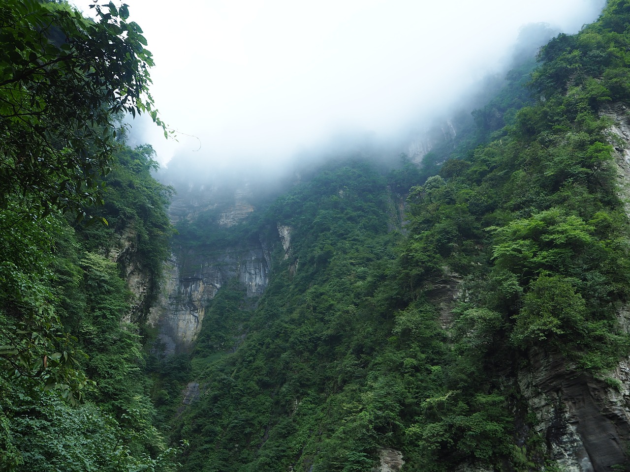 探秘峨眉山，四川的瑰宝与峨眉神韵